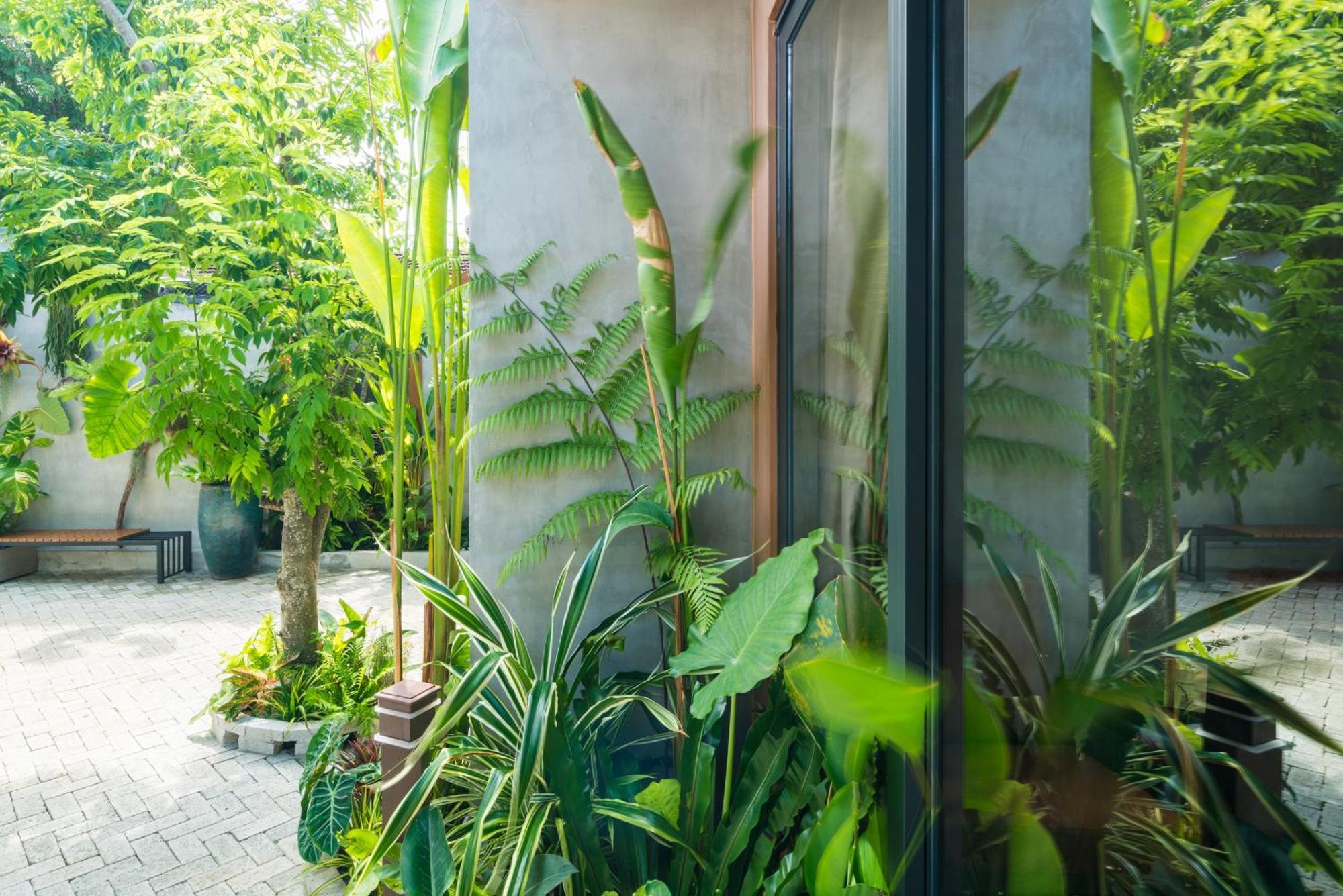 Eco House Villa Phan Thiet Exteriör bild